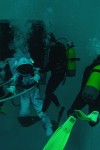 Nemo 33